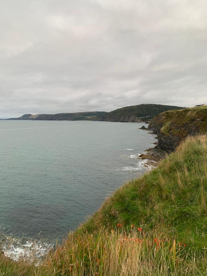 Villa Wild Coastal Retreat At Troed Y Rhiw Aberporth, West Wales Exterior foto