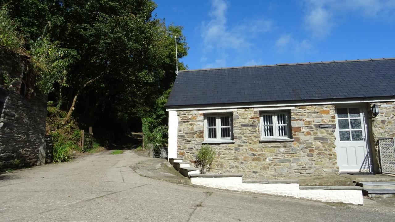 Villa Wild Coastal Retreat At Troed Y Rhiw Aberporth, West Wales Exterior foto